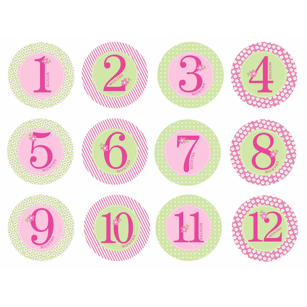 Baby Milestone Stickers - Girls