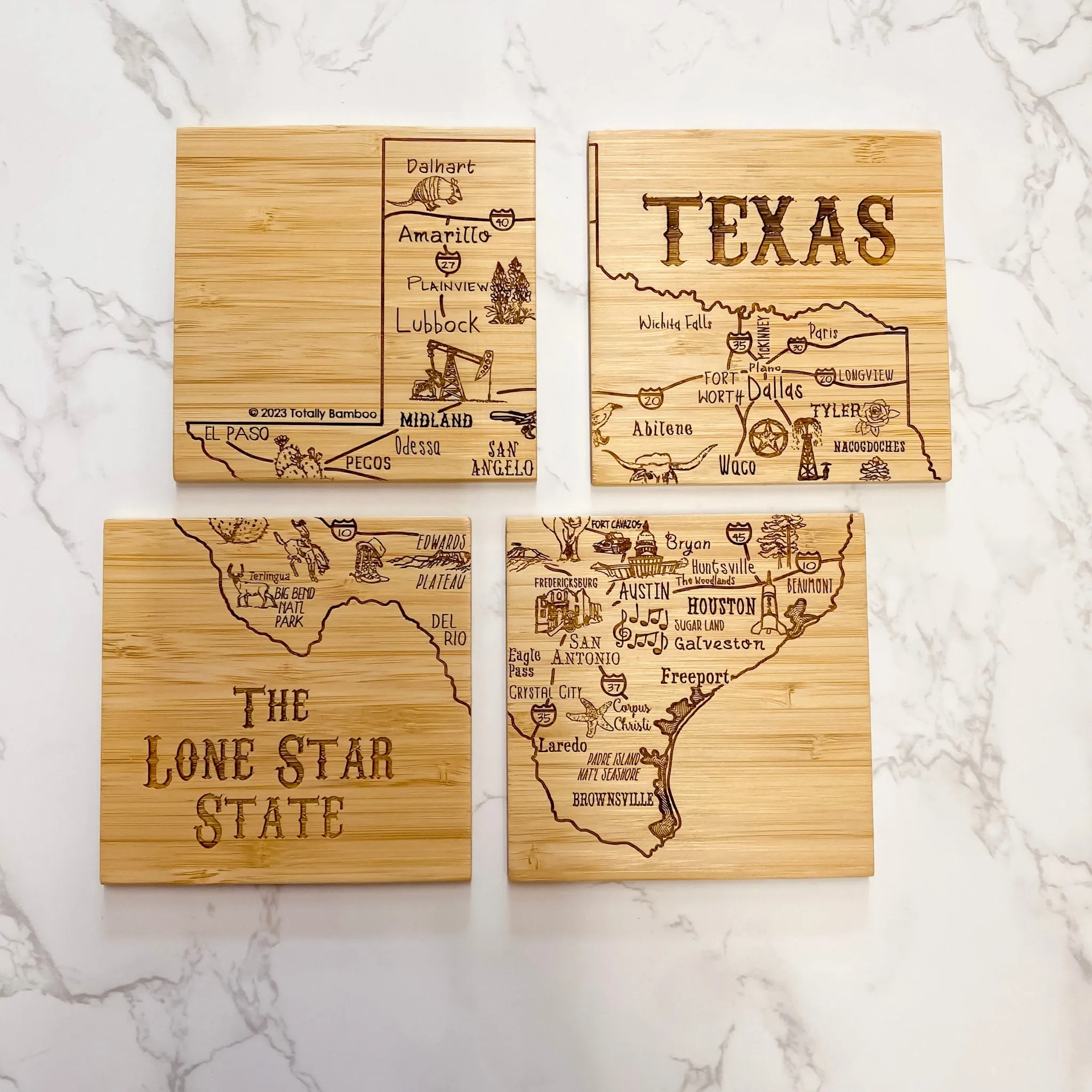 Texas Coaster Puzzle Set of 4 with Case